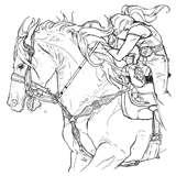 Glamor and glitz of starting colts