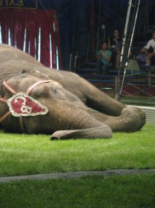 Awaken your sleeping passion