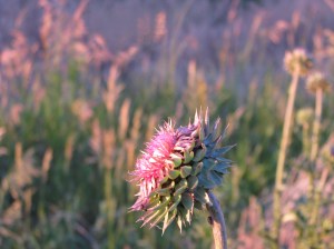 Labor for Creativity